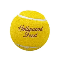 Dog Toy - Tennis Ball
