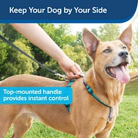 Dog Harness