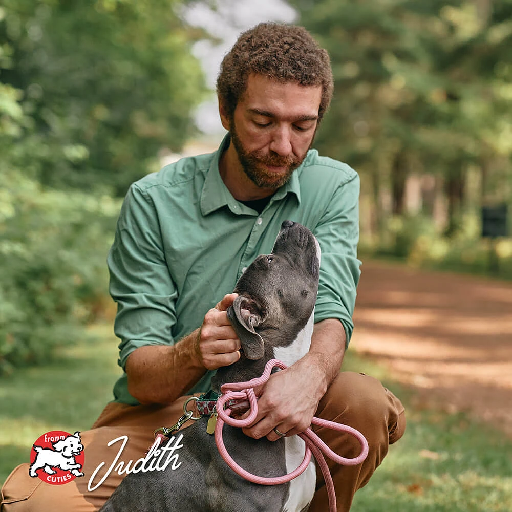 - Gently Cooked Sous Vide Frozen Dog Food - Nutrient Rich TurkiBowls - For All Dog Breeds & Ages