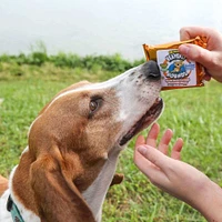 Heavenly Hounds - Calming Dog Soft Chew - Peanut Butter Relaxation Square