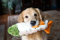 Fluff & Tuff - Plush Dog Toy - Soft Plush with Tuffweb Mesh for Snuggles & Play - Rudy Rainbow Trout