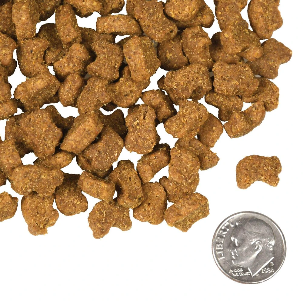 Dry Dog Food