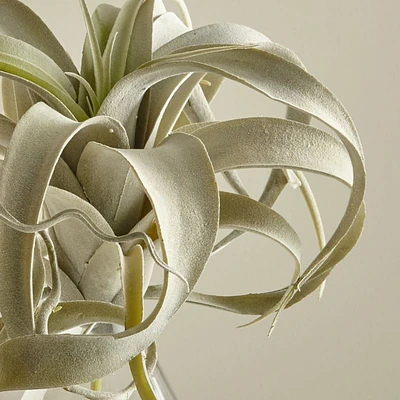 Faux Air Plant