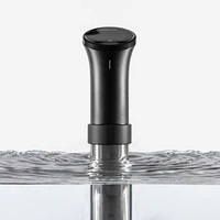 Anova Precision ® Sous Vide Cooker 3.0