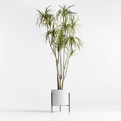 Potted Faux Dracaena 6.5'
