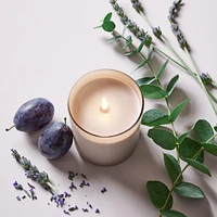 Monochrome No. 12 Amethyst Scented Reed Diffuser - Black Plum