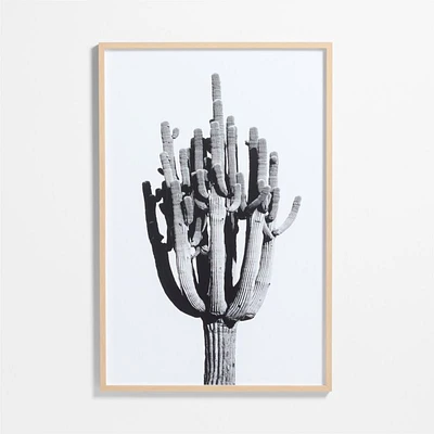 "Cactus" by Jennifer MaHarry 40"x60" Framed Photography Print