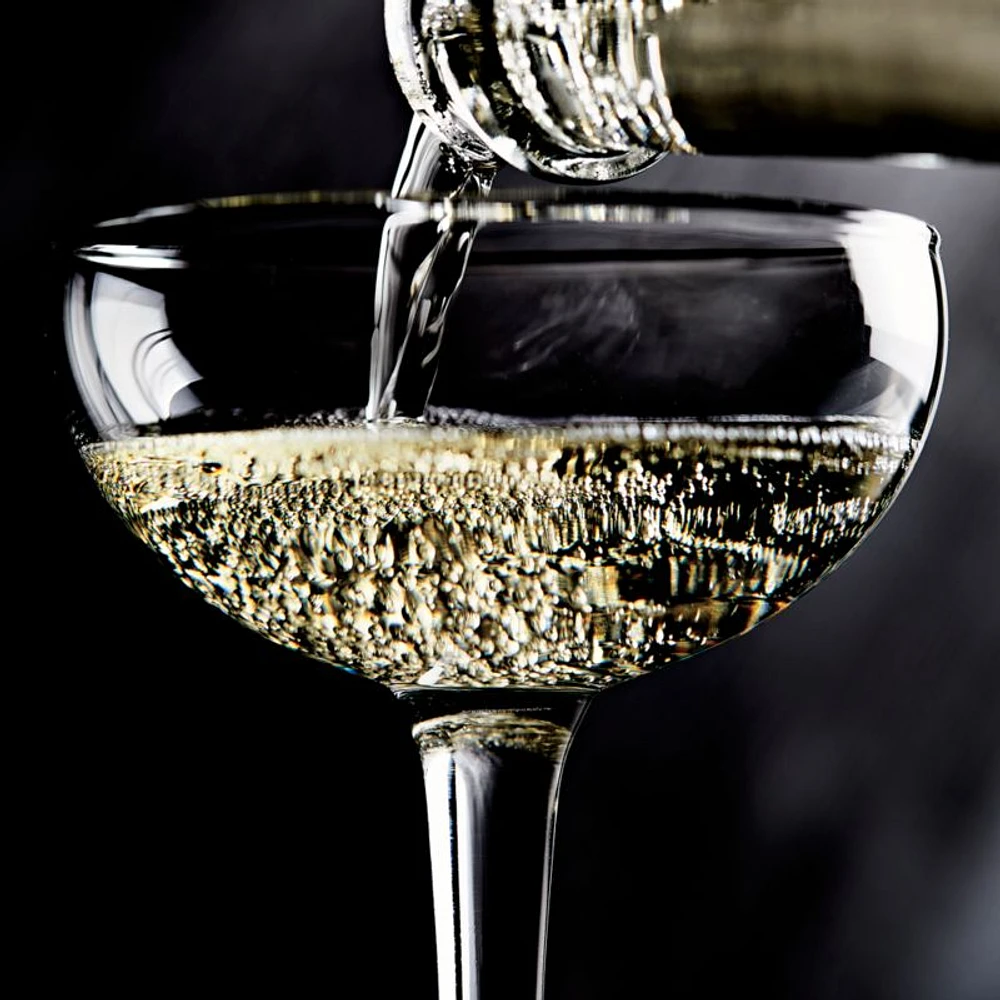 Coupe 5.5-Oz. Cocktail Glass