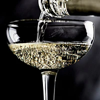 Coupe 5.5-Oz. Cocktail Glass