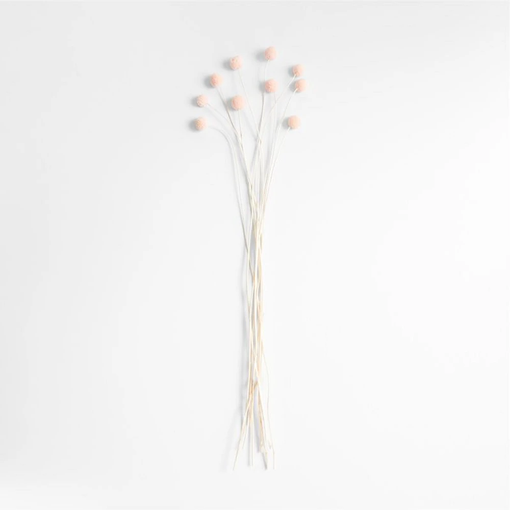 Pink Dried Craspedia Flower Bunch