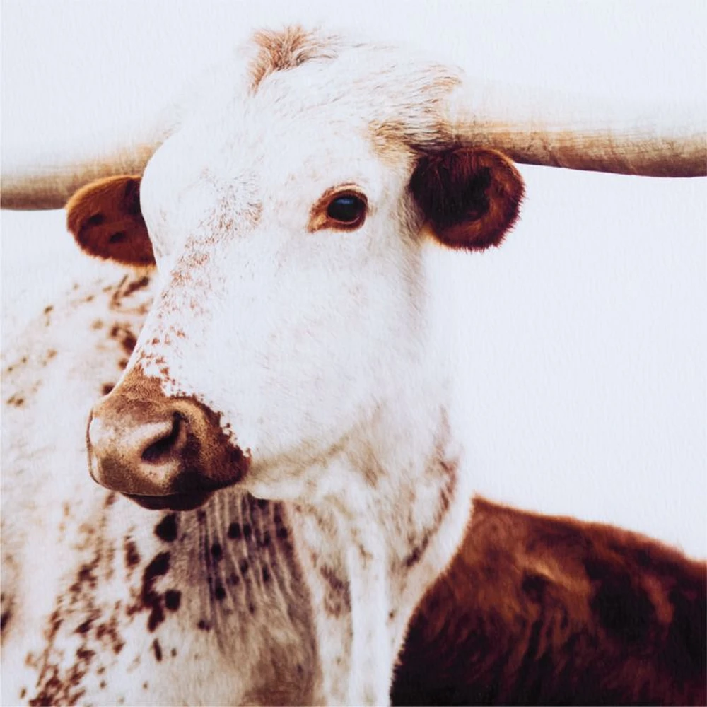 "Freckled Frank" by Addison Jones 38.75"x28.75" Framed Photography Print