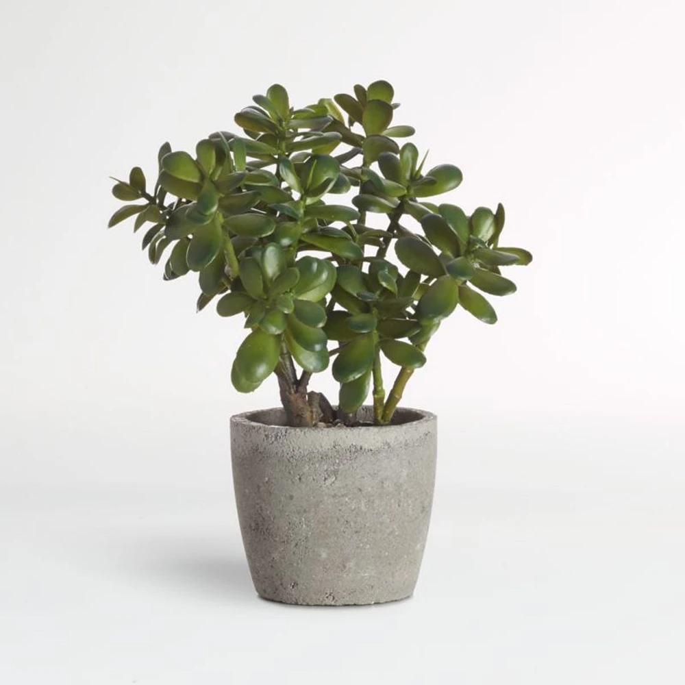 Potted Faux Jade Plant