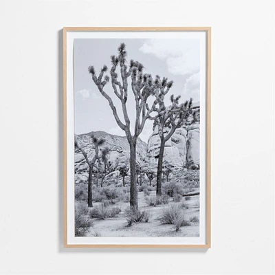 "Joshua Tree" by Tatiana Alexandra 40"x60" Framed Photography Print