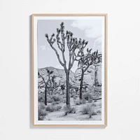 "Joshua Tree" by Tatiana Alexandra 40"x60" Framed Photography Print