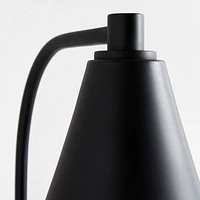 Lisse Black Indoor/Outdoor Wall Sconce Light