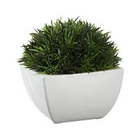 Potted Faux Moss