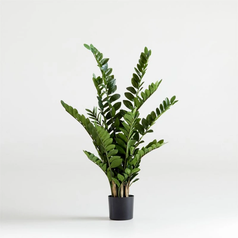 Potted Faux ZZ Plant 51"