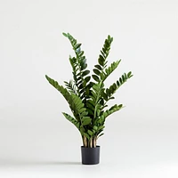 Potted Faux ZZ Plant 51"