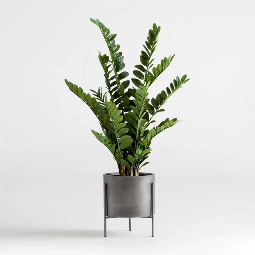 Potted Faux ZZ Plant 51"