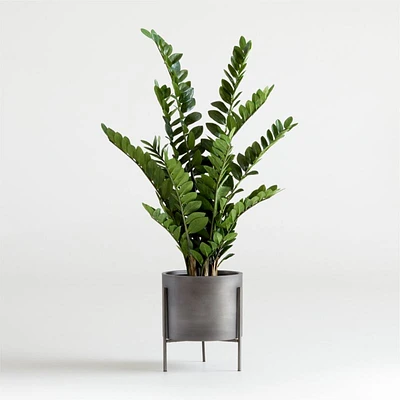 Potted Faux ZZ Plant 51"