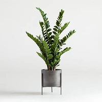 Potted Faux ZZ Plant 51"