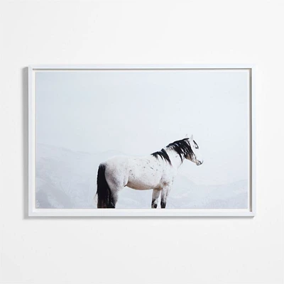 "Sentinel" by Jennifer MaHarry 40"x60" Framed Photography Print