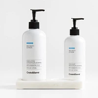 Sea Salt + Citron Hand Soap and Lotion Set with White Marble Caddy