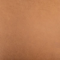 Zanni Camel Leather Dining Chair