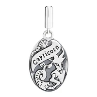 Chamilia Sterling Silver Zodiac Capricorn