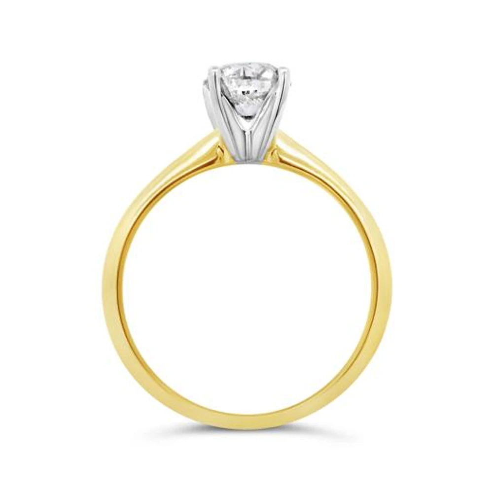Glacier Fire 14K Yellow Gold 1.00CT Solitaire