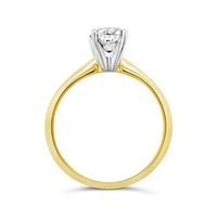 Glacier Fire 14K Yellow Gold 1.00CT Solitaire