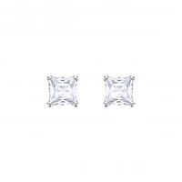 Swarovski Attract Stud Earrings