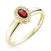 10K Yellow Gold Garnet & 0.04CTW Diamond Halo Ring