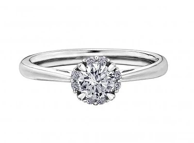 Glacier Fire 14K White Gold 0.35CTW Bridal Ring