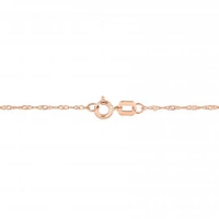 Julianna B 10K Rose Gold Garnet and Diamond Necklace