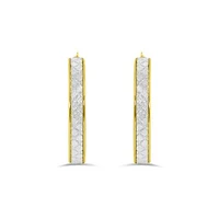 10K Yellow Gold Glitter Hoops