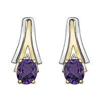 10K White & Yellow Gold Amethyst & 0.01CTW Diamond Earring