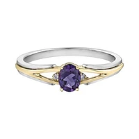 10K White & Yellow Gold Amethyst & 0.015CTW Diamond Ring