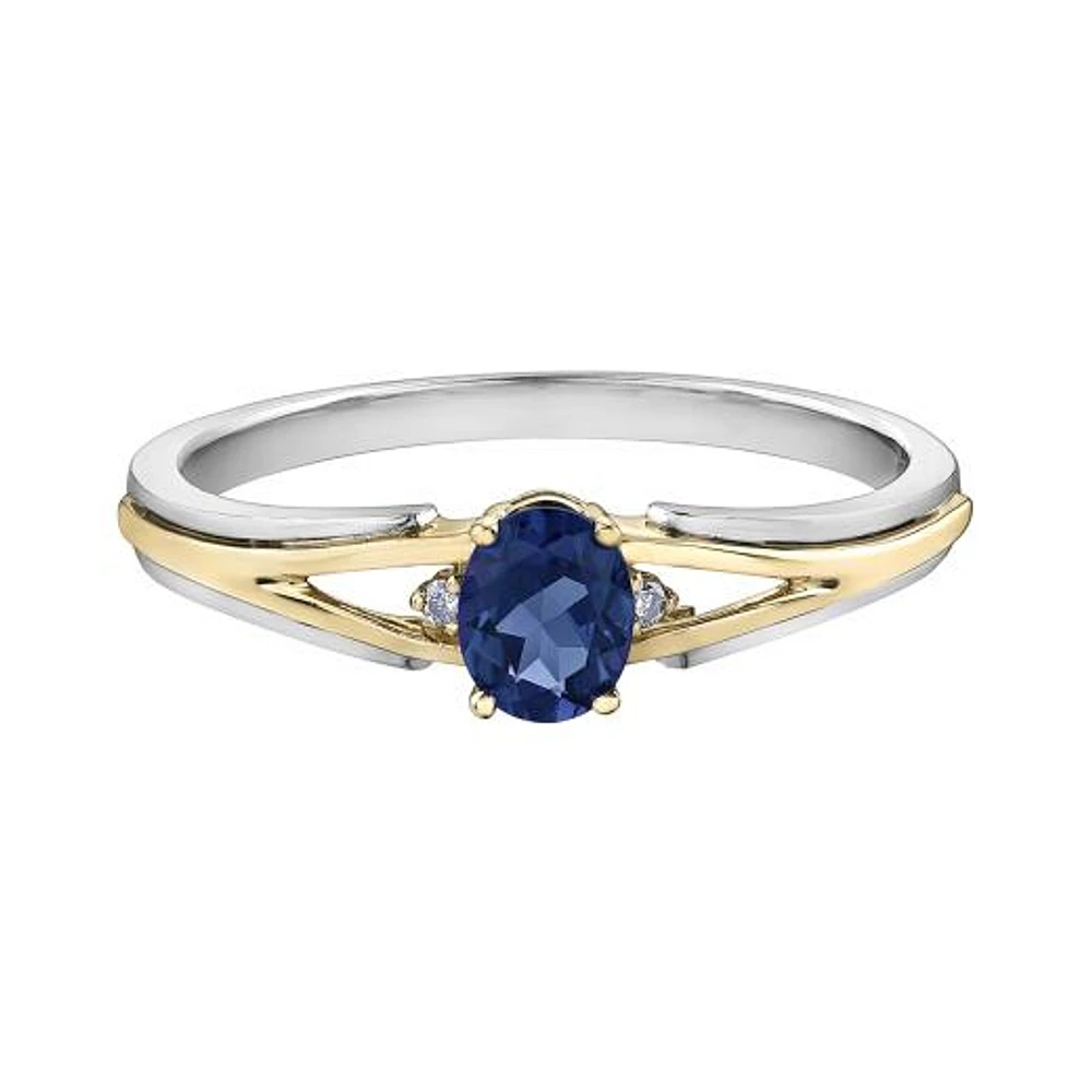 10K White & Yellow Gold Sapphire & 0.015CTW Diamond Ring