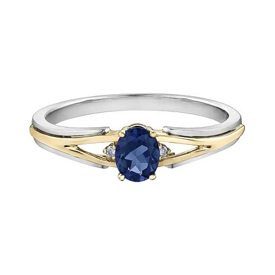 10K White & Yellow Gold Sapphire & 0.015CTW Diamond Ring