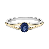 10K White & Yellow Gold Sapphire & 0.015CTW Diamond Ring
