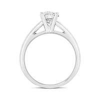 Glacier Fire 14K White Gold 1.00CT Diamond Solitaire Ring