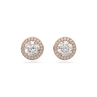Swarovski Constella Studs