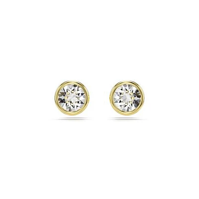 Swarovski Imber Stud Earrings