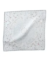 Platinum Collection Paisley Wool-Cotton Pocket Square