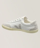 Volley Suede & Leather Wingtip Sneakers