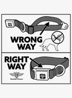 Marvel Venom Comic Book Panels Seatbelt Buckle Dog Collar