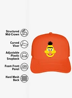 Sesame Street Bert Head Foam Trucker Hat