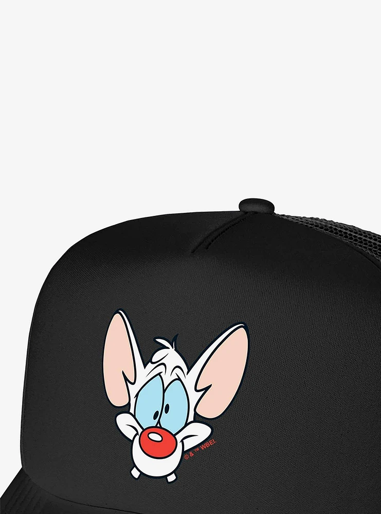 Pinky And The Brain Pinky Head Foam Trucker Hat