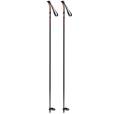 Elite Basic Ski Pole [2022]
